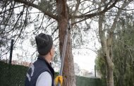 Tuzla’da Toplanan Atık Dallar İle 5 Bin Ailenin 24 Saatlik Elektriği Üretiliyor