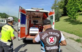 İstanbul'da 'çakarlı araç' denetimi: İki ambulansa ceza