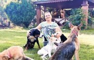 ENGELLİ VE MUHTAÇ HAYVANLARI YAŞATMA VE KORUMA DERNEĞİ
